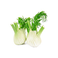 Vegetable